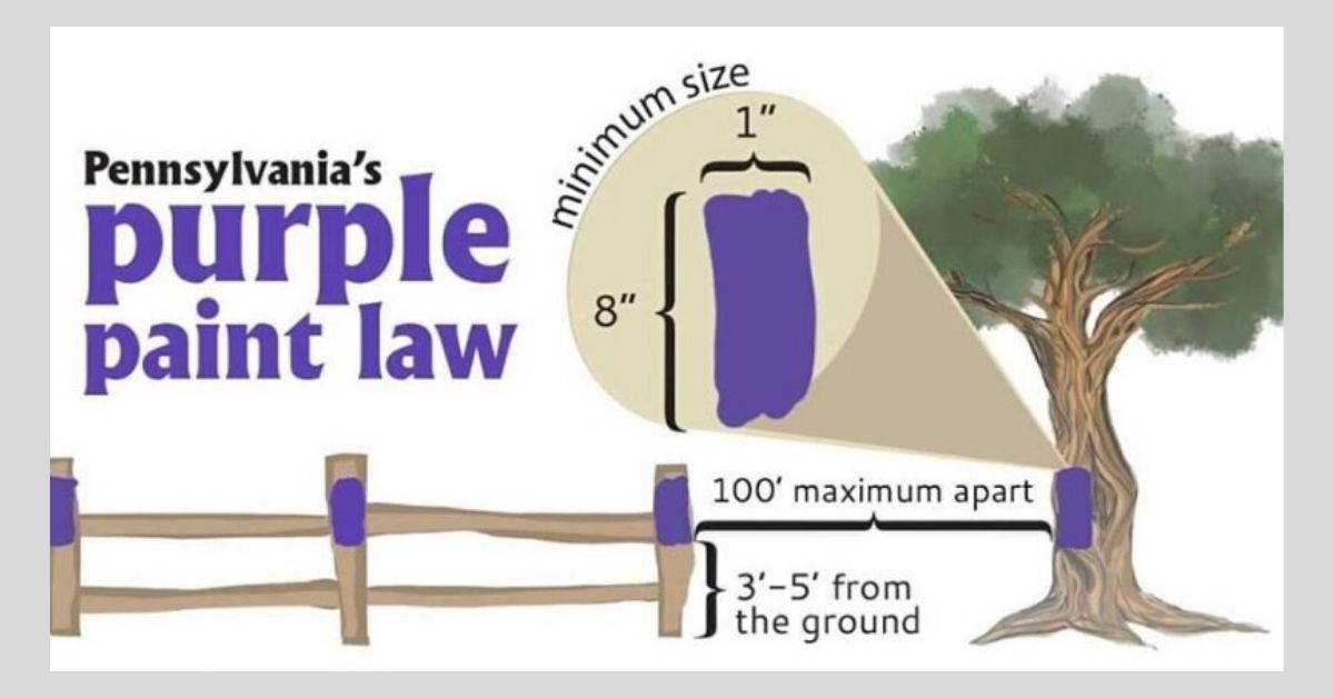 purplepaintdiagram_2020.jpg